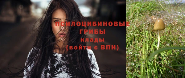 альфа пвп Богородицк
